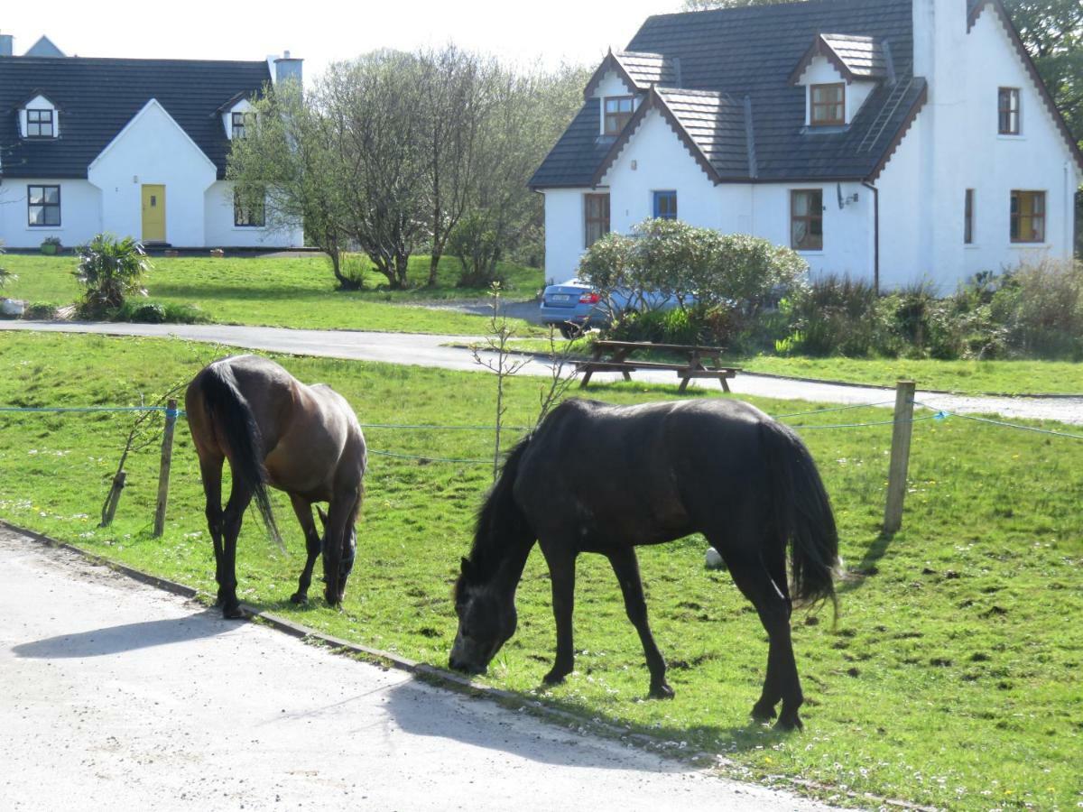 Letterfrack Farm Cottage In Village On A Farm Beside Connemara National Park Exterior foto
